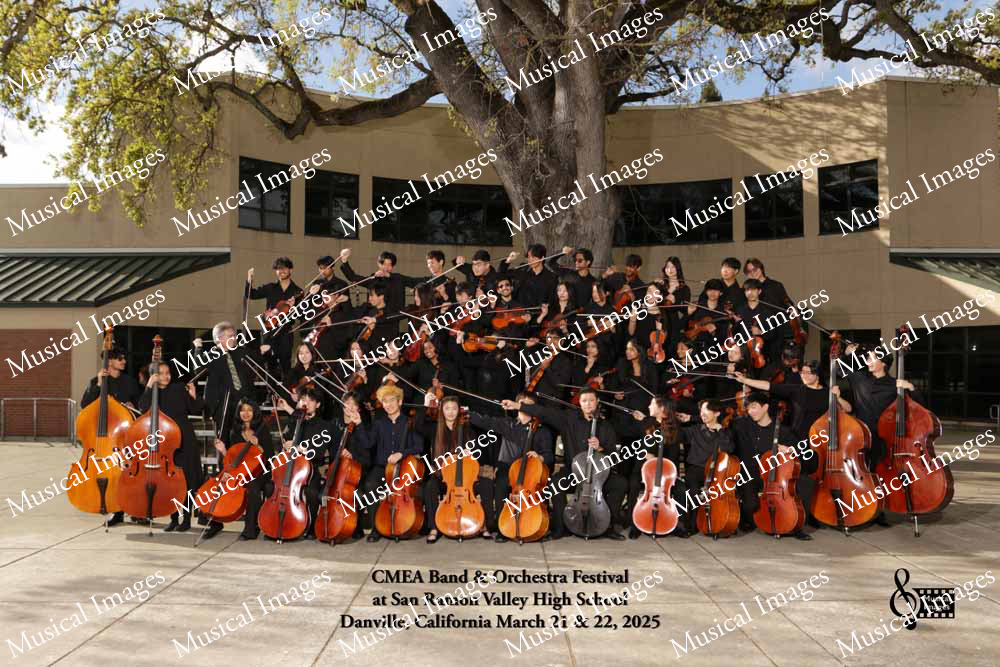 Musical Images
